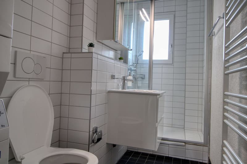 Rick #1 - Möbliertes Zimmer in modernisierter Wohnung an top Lage (14)