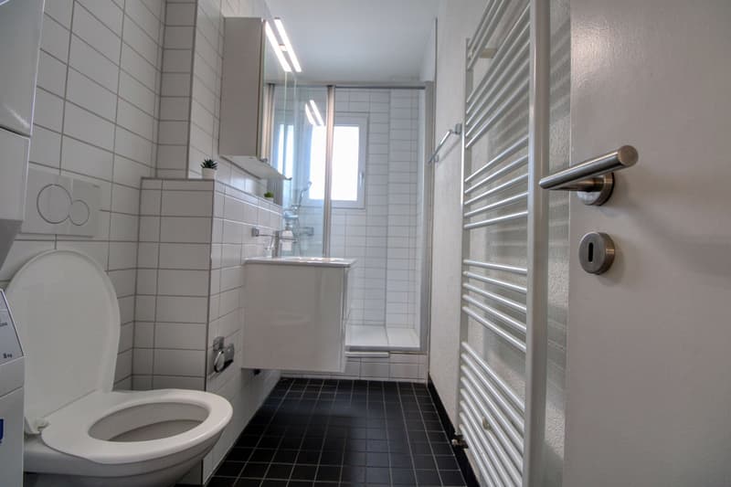 Rick #1 - Möbliertes Zimmer in modernisierter Wohnung an top Lage (16)