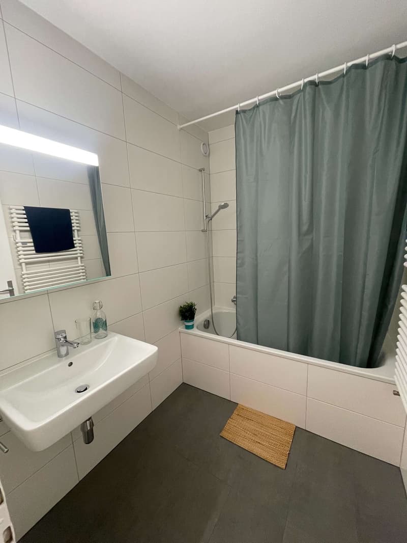 Stan #4 - Vue dégagée au centre de Lausanne (25)