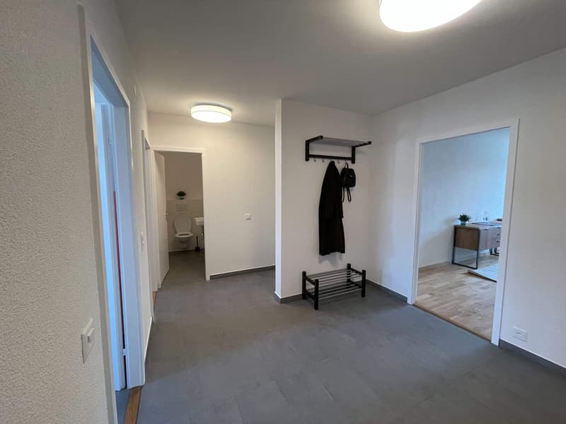 Stan #4 - Vue dégagée au centre de Lausanne (32)