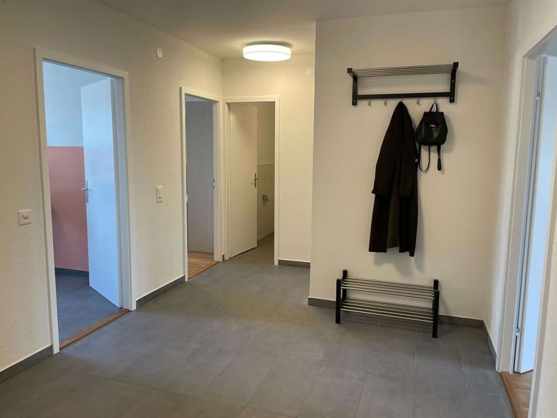 Stan #4 - Vue dégagée au centre de Lausanne (29)