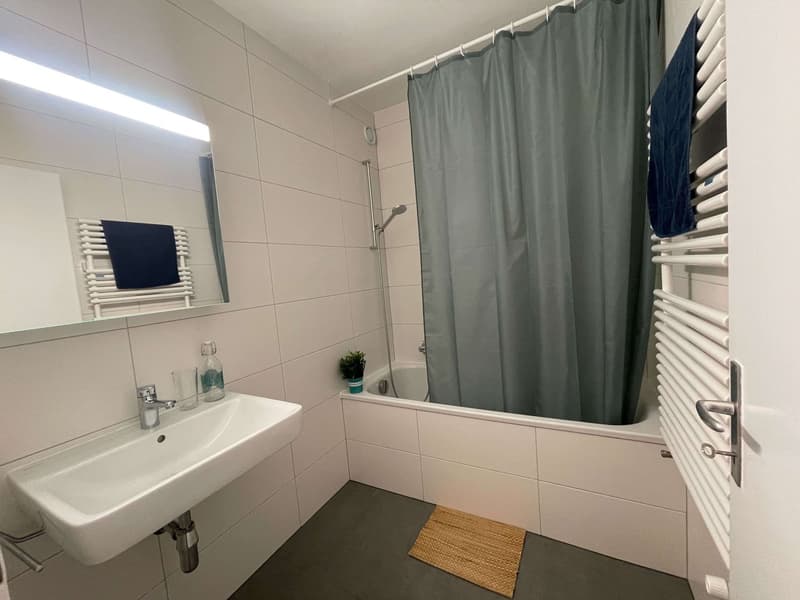 Stan #4 - Vue dégagée au centre de Lausanne (26)