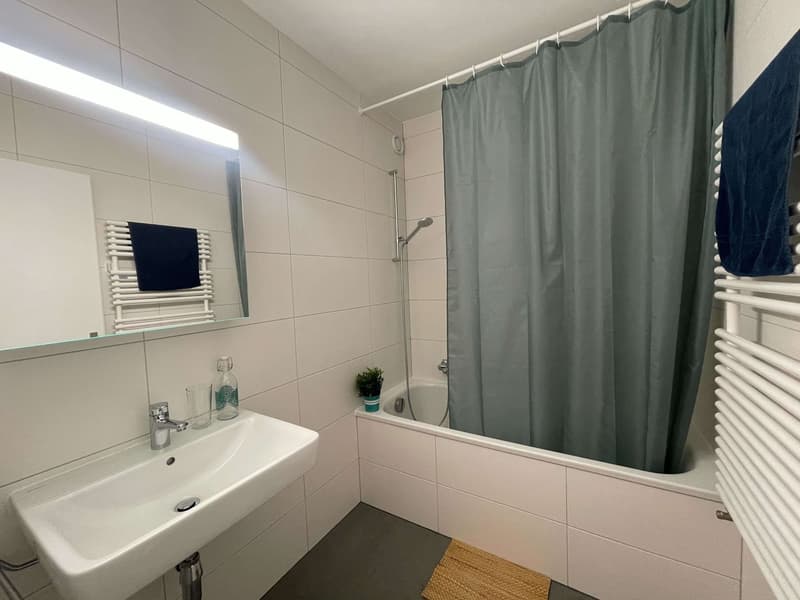 Stan #4 - Vue dégagée au centre de Lausanne (24)