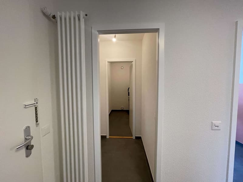 Stan #4 - Vue dégagée au centre de Lausanne (41)