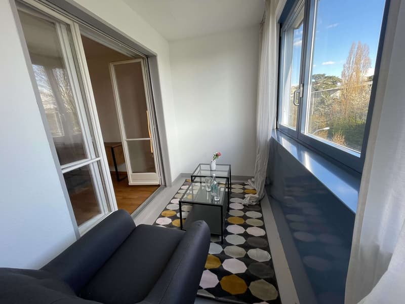 Stan #4 - Vue dégagée au centre de Lausanne (17)
