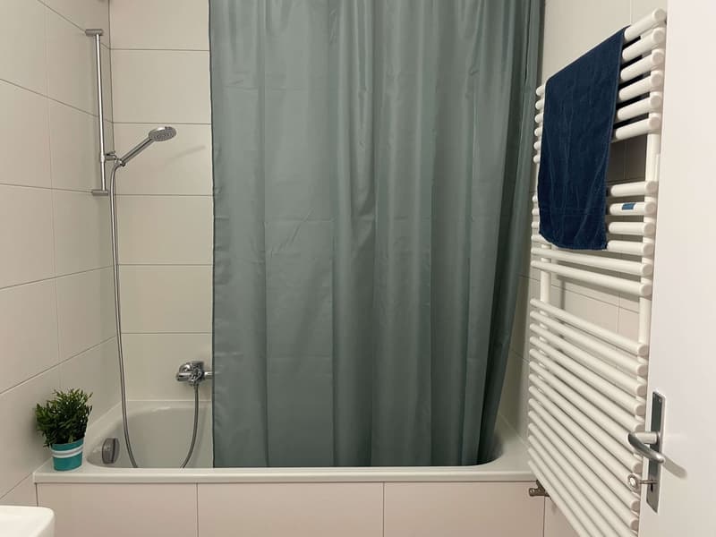 Stan #4 - Vue dégagée au centre de Lausanne (22)