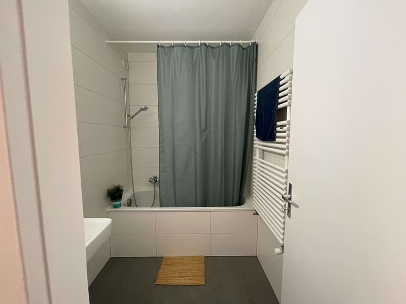 Stan #4 - Vue dégagée au centre de Lausanne (23)