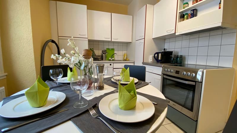 Adrienne #4 - Magnifique appartement meublé en colocation, quartier Sous-Gare, Lausanne (12)