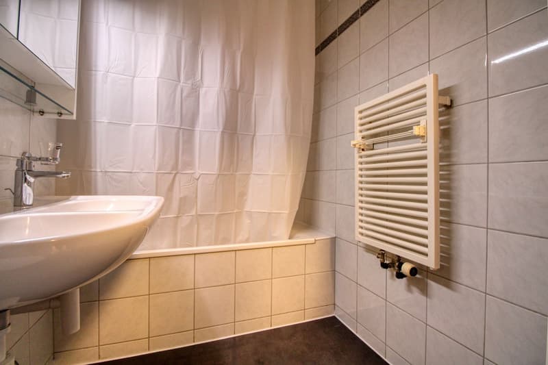 Gemütliches Coliving im lebendigen Altstetten in Zürich (10)
