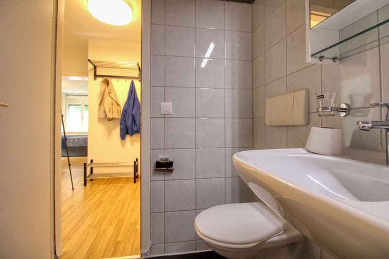 Gemütliches Coliving im lebendigen Altstetten in Zürich (12)