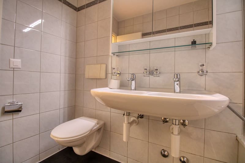 Gemütliches Coliving im lebendigen Altstetten in Zürich (11)