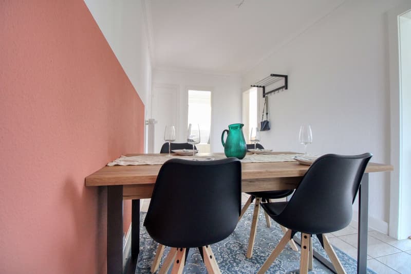 Coliving charmant dans la paisible Avenue de Béthusy à Lausanne (21)