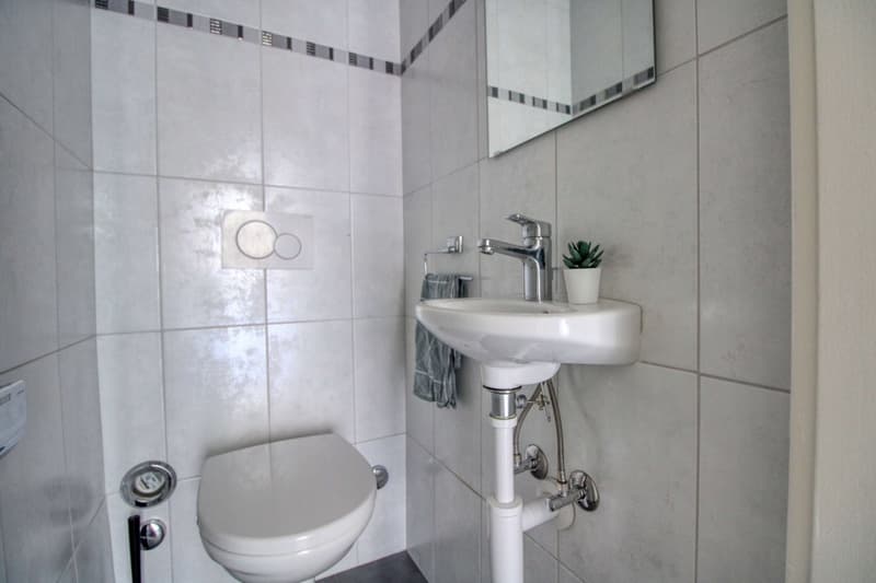 Coliving charmant dans la paisible Avenue de Béthusy à Lausanne (10)