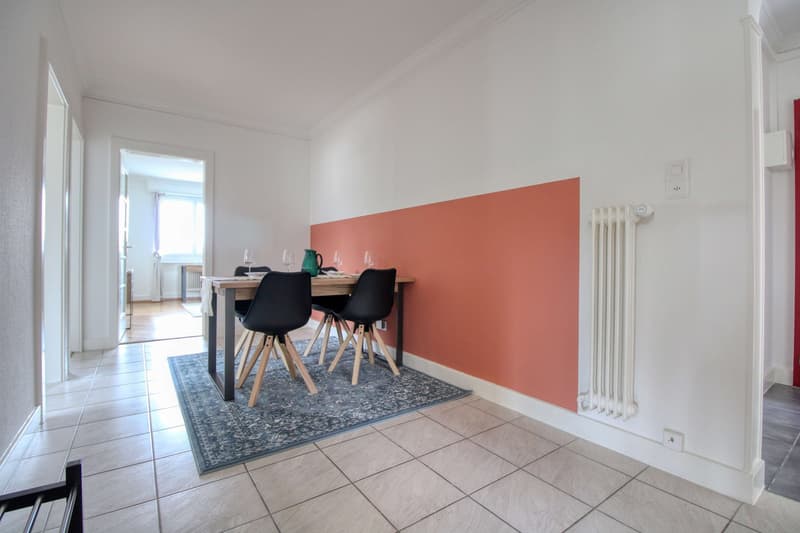 Coliving charmant dans la paisible Avenue de Béthusy à Lausanne (19)