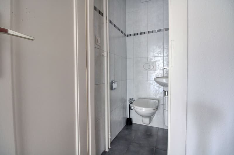 Coliving charmant dans la paisible Avenue de Béthusy à Lausanne (11)