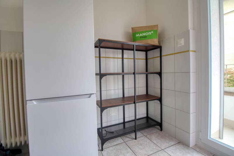 Coliving charmant dans la paisible Avenue de Béthusy à Lausanne (15)