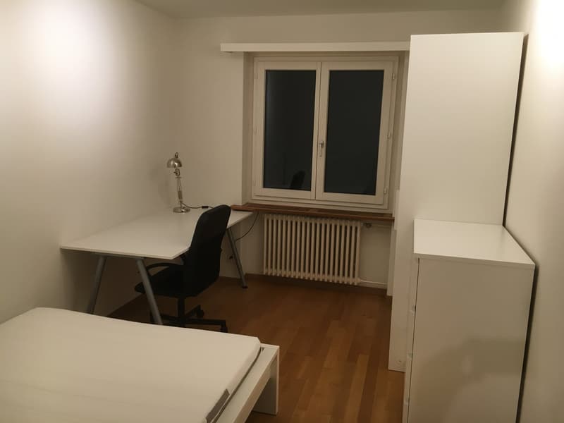 Moder eingerichtetes WG-Zimmer am Schwamendingerplatz (1)