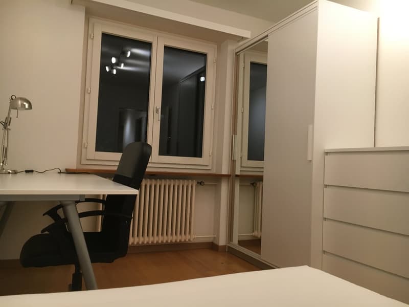 Moder eingerichtetes WG-Zimmer am Schwamendingerplatz (3)