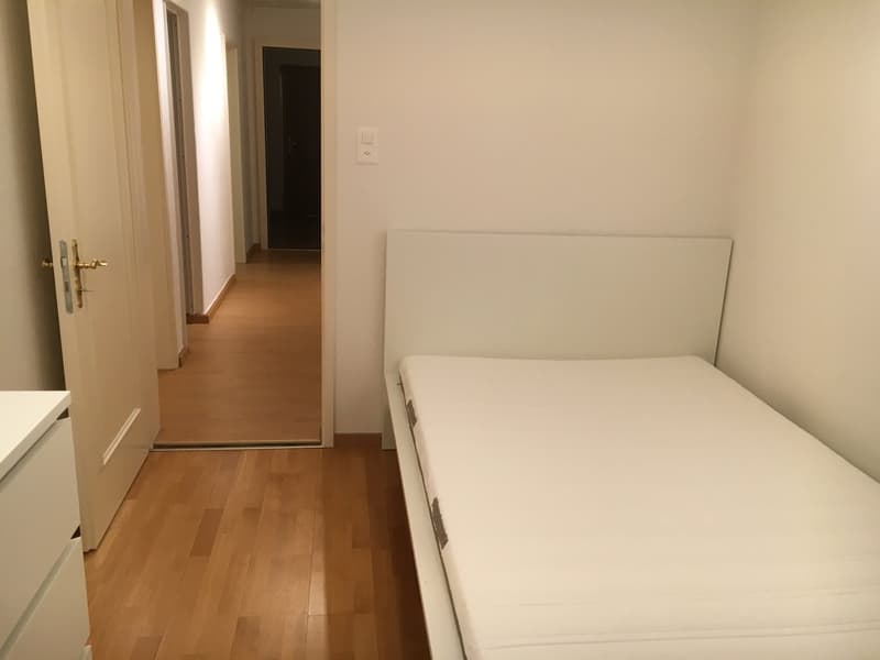 Moder eingerichtetes WG-Zimmer am Schwamendingerplatz (2)