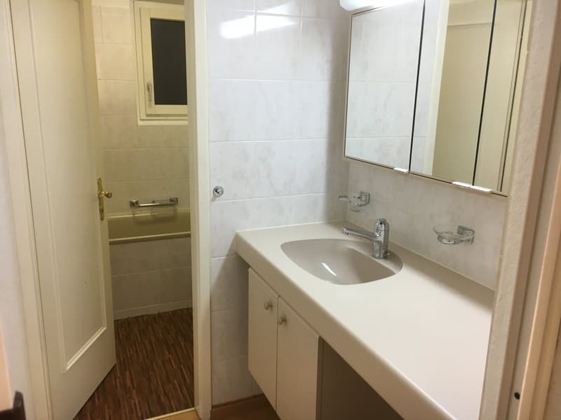 Moder eingerichtetes WG-Zimmer am Schwamendingerplatz (5)