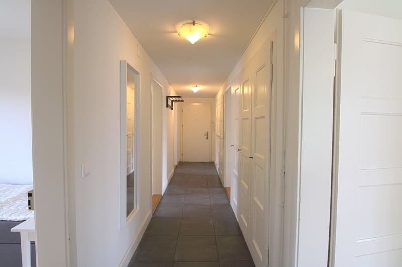 Möbliertes WG-Zimmer in Zürich Seebach (6)