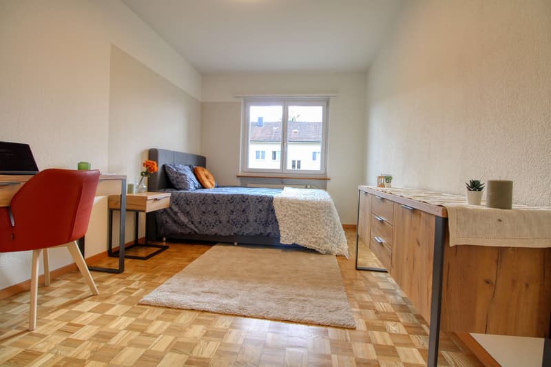 Ruhiger urbaner Rückzugsort in der Nähe der Universität in Irchel (1)