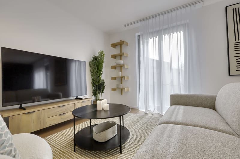 Coliving Alliant Intimité et Vie Partagée au Cœur de Renens (20)