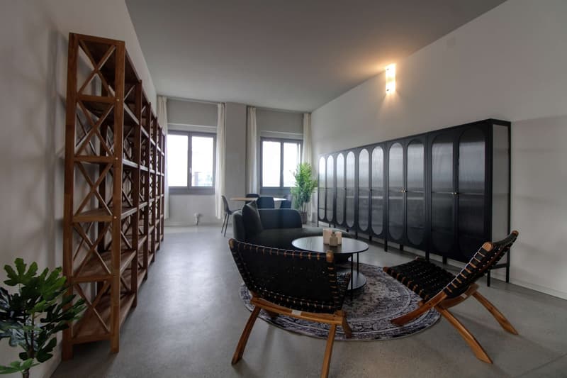 Coliving Moderne Alliant Intimité, Travail et Vie Partagée à Renens (33)