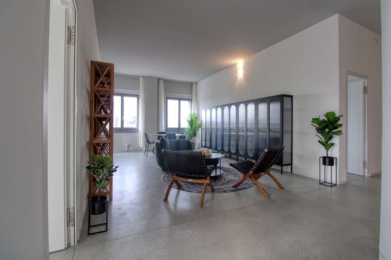Coliving Moderne Alliant Intimité, Travail et Vie Partagée à Renens (13)