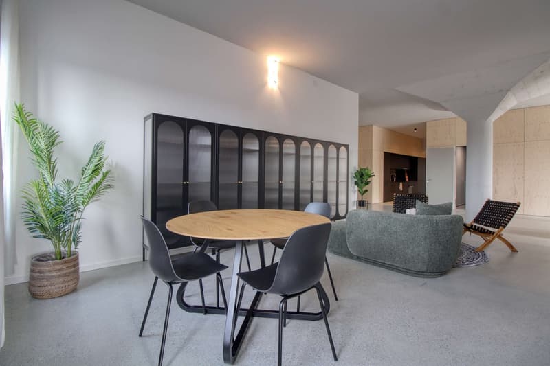 Coliving Moderne Alliant Intimité, Travail et Vie Partagée à Renens (18)