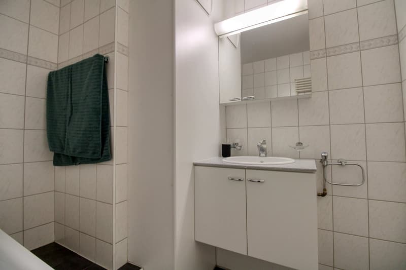 Un vrai cocon au centre de Lausanne (11)