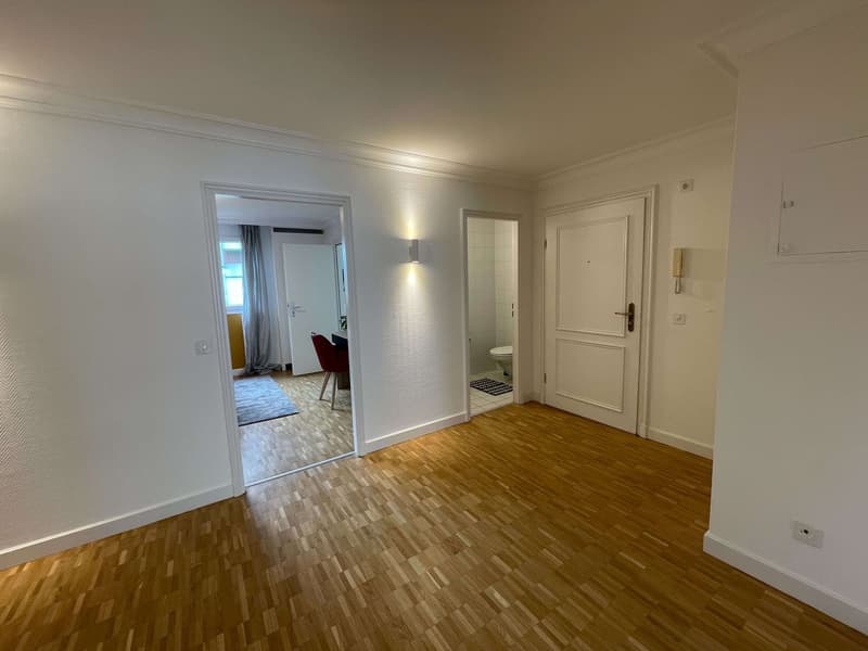 Expérience Élégance Urbaine: Ton Paradis de Coliving à Genève (13)