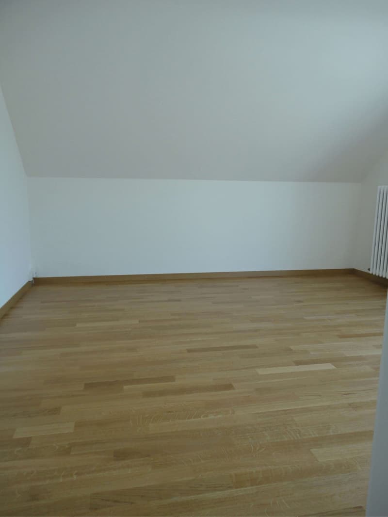 Gemütliches Einzelzimmer in einer Wohngemeinschaft – Zürich Höngg (8049) (1)