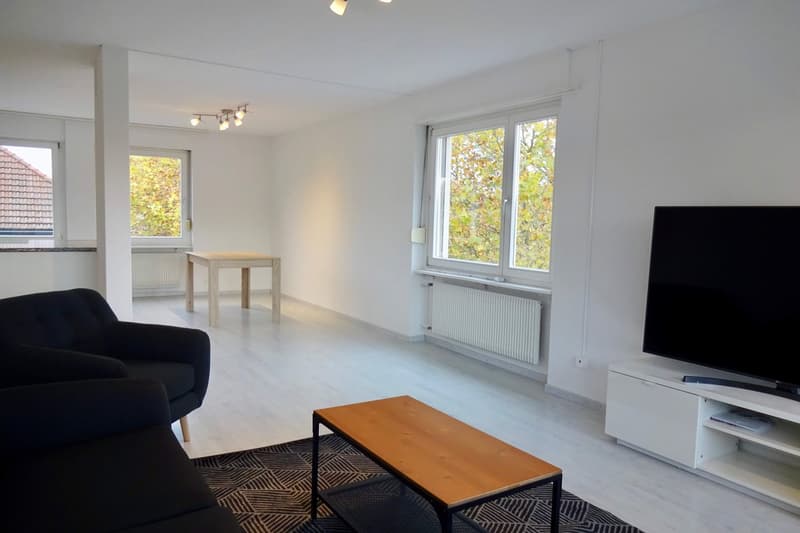 Möbliertes Zimmer in 4er WG mit grossem Wohnzimmer & Balkon (5)
