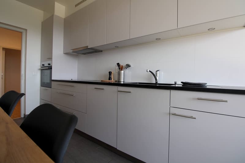 Grosszügiges Coliving mit internationalem Flair in Le Grand-Saconnex (11)