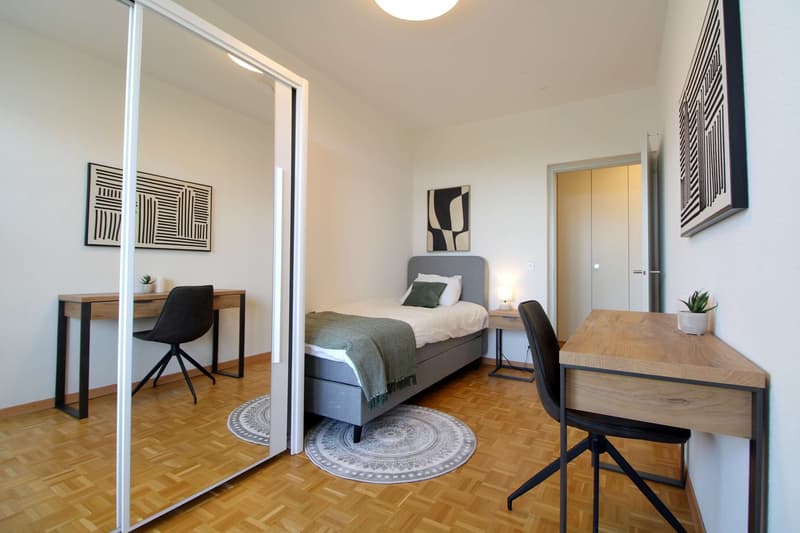 Grosszügiges Coliving mit internationalem Flair in Le Grand-Saconnex (3)