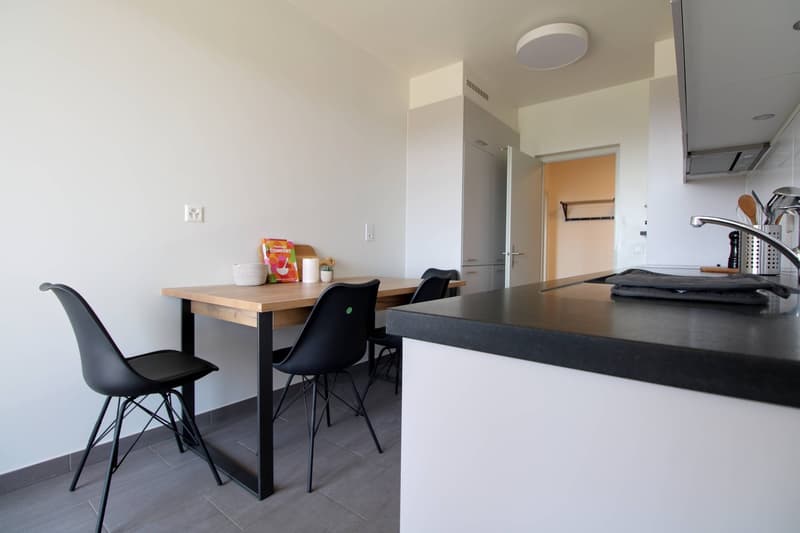 Grosszügiges Coliving mit internationalem Flair in Le Grand-Saconnex (12)