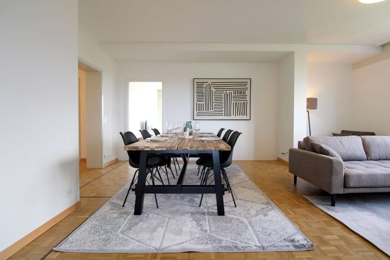 Grosszügiges Coliving mit internationalem Flair in Le Grand-Saconnex (9)