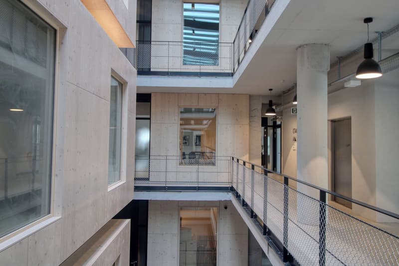 Coliving Moderne Alliant Intimité, Travail et Vie Partagée à Renens (52)