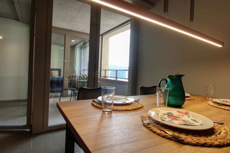 Modernes Studio mit Balkon in Schlieren – sofort verfügbar! (13)