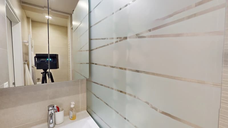 Helles WG-Zimmer mit Balkon im 4. OG – Basel St. Johann (10)