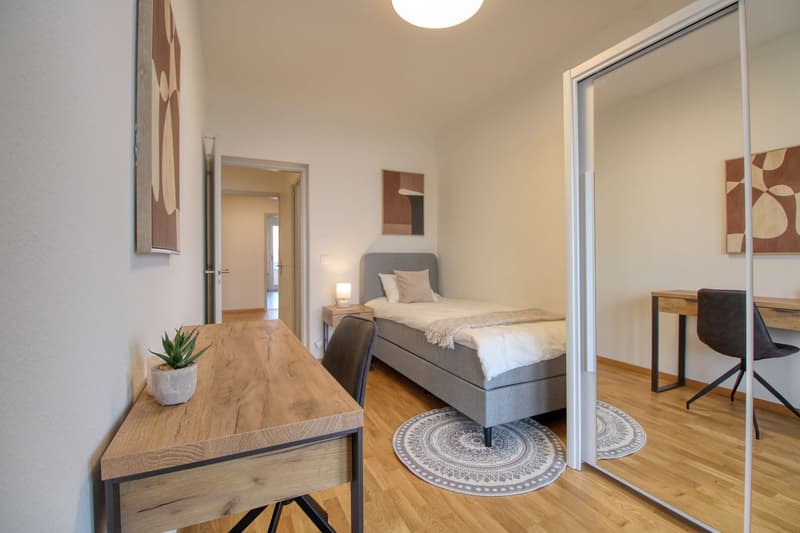 Coliving Spacieux et Confortable à Le Grand-Saconnex (19)
