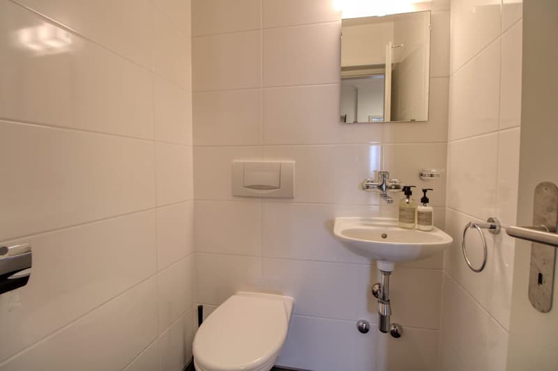 Coliving Spacieux et Confortable à Le Grand-Saconnex (15)