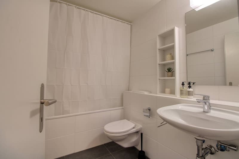 Coliving Spacieux et Confortable à Le Grand-Saconnex (2)