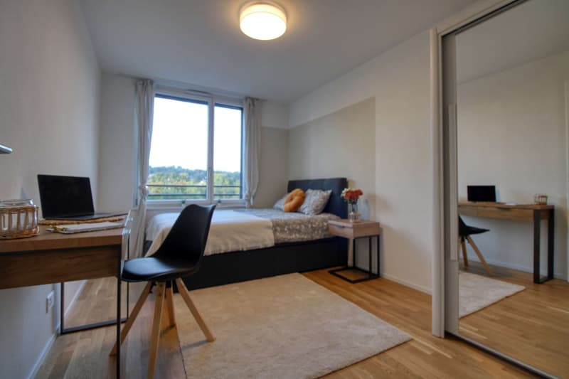 Bright & Cozy Single Room in a Flat Share – Crissier (8)