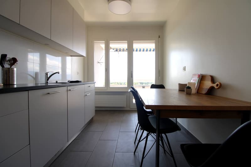 Coliving Spacieux au Cœur du Quartier International de Genève (9)