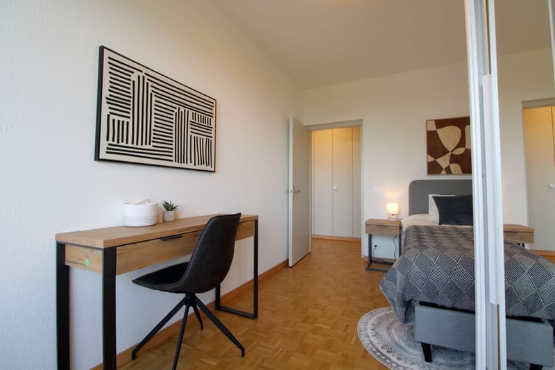 Coliving Spacieux au Cœur du Quartier International de Genève (3)