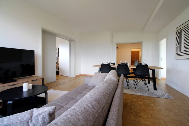 Coliving Spacieux au Cœur du Quartier International de Genève (19)