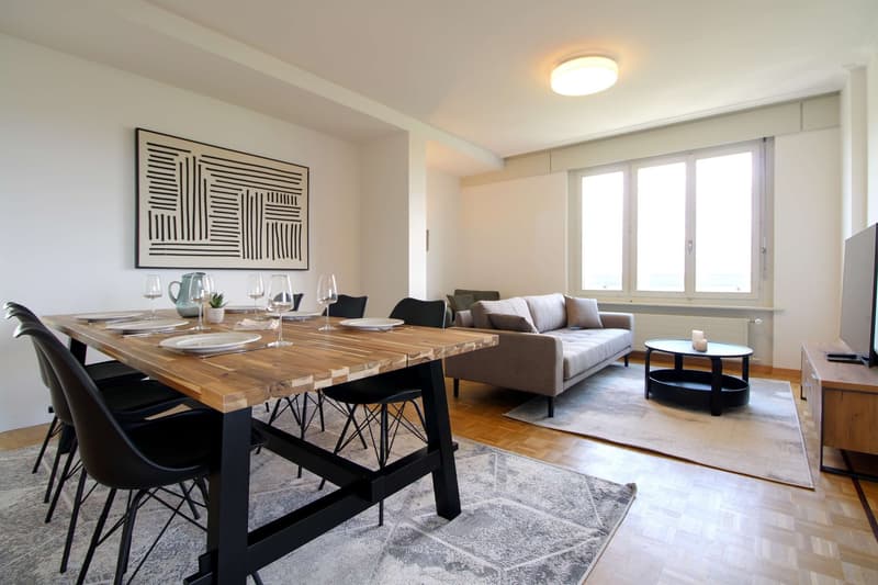 Coliving Spacieux au Cœur du Quartier International de Genève (16)