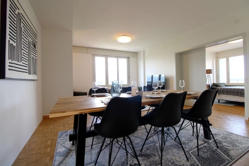 Coliving Spacieux au Cœur du Quartier International de Genève (20)